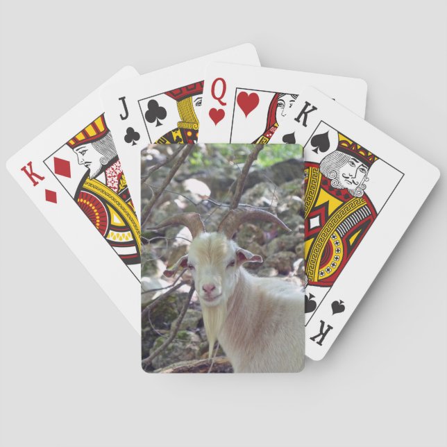 Billy Goat Poker Cards (Back)