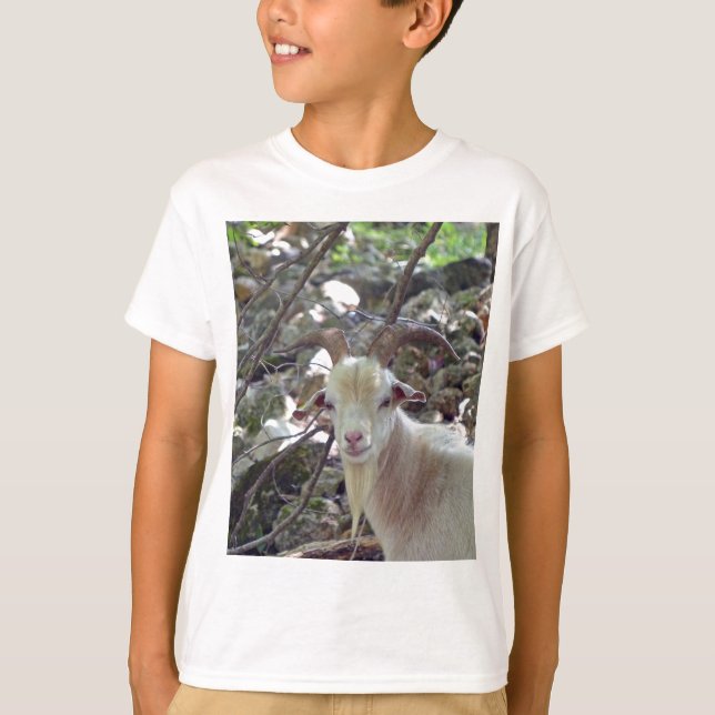 Billy Goat T-Shirt (Front)