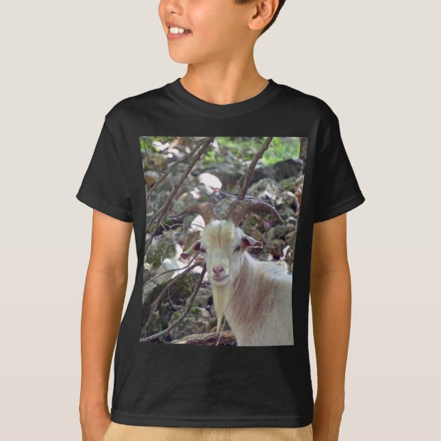 Billy Goat T-Shirt (Front)