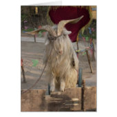 Billy The Goat Card (Front)
