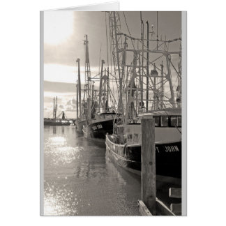 Biloxi Shrimp Boats at Dock Cards