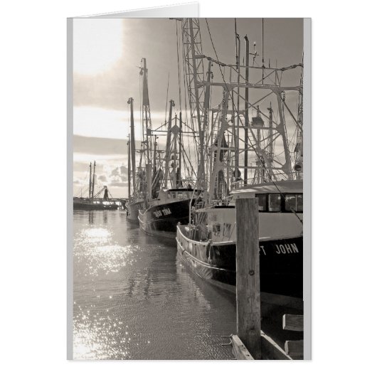 Biloxi Shrimp Boats at Dock Cards (Front)