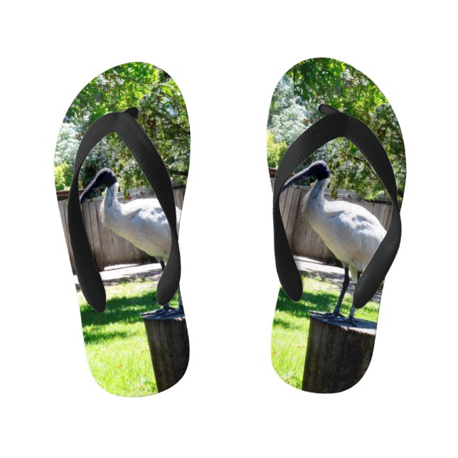 Bin Chicken (iBIS)  Kids Flip Flops (Footbed)