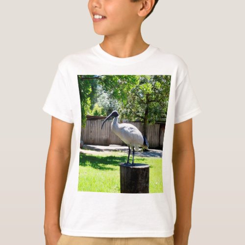 Bin Chicken ibis On A Tree Stump   T_Shirt