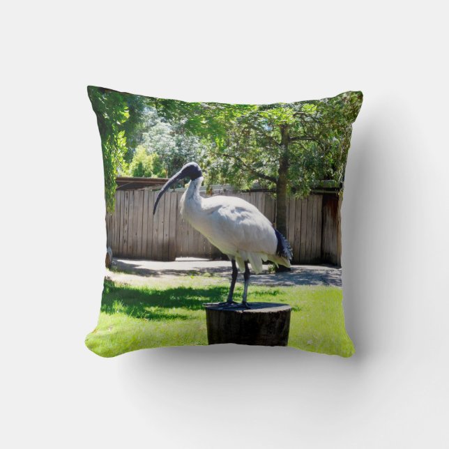 Bin Chicken (ibis) On A Tree Stump,   Throw Pillow (Front)