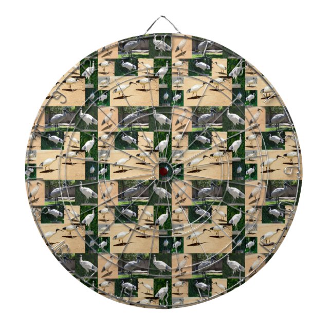 Bin Chicken (Ibis) Photo Collage, Dart Board (Front)