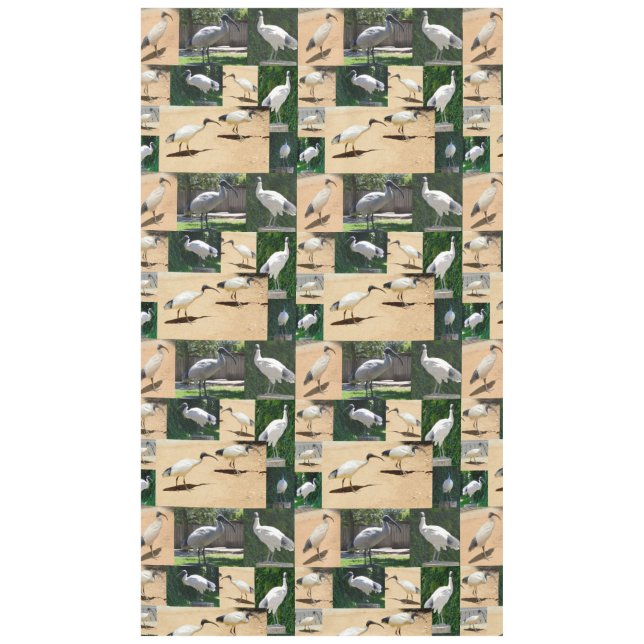 Bin Chicken (Ibis) Photo Collage, Tablecloth (Front)