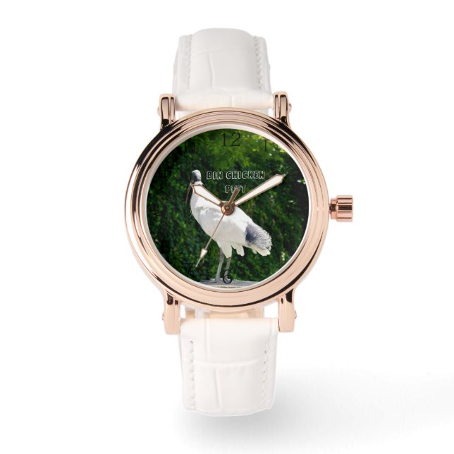 Bin Chicken PFTT Known As An  Ibis, Watch (Front)