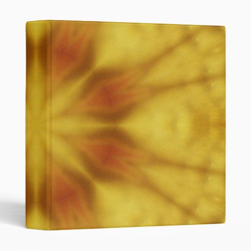 Binder Abstract Kaleidoscope Orange Original Binder