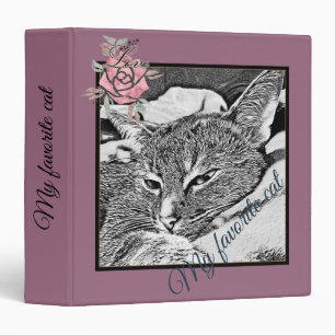 Binder Cat photo, cat, Pets, funny cat