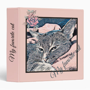 Binder Cat photo, cat, Pets, funny cat