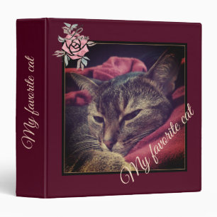 Binder Cat photo, cat, Pets, funny cat, Burgundy b