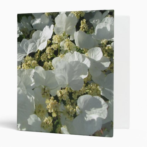 Binder _ Doublefile Viburnum I