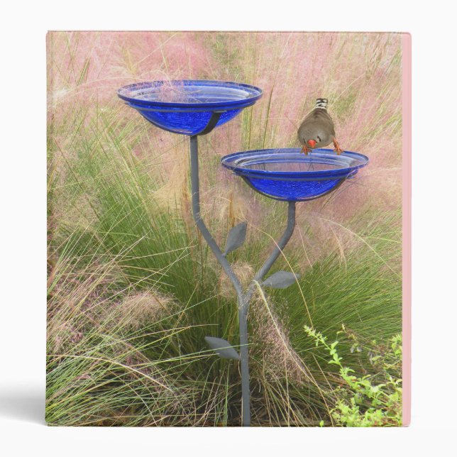 Binder, Finch at the Bird Bath Binder (Front)