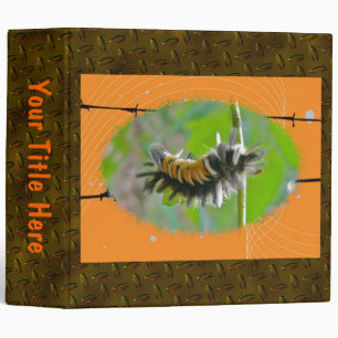 Binder Milkweed Tussock Moth Caterpillar