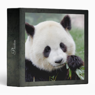 binder Photo giant panda , animals 0093.
