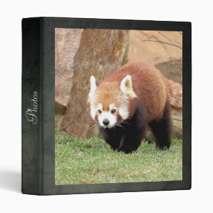 binder Photo red panda , animals 0138.
