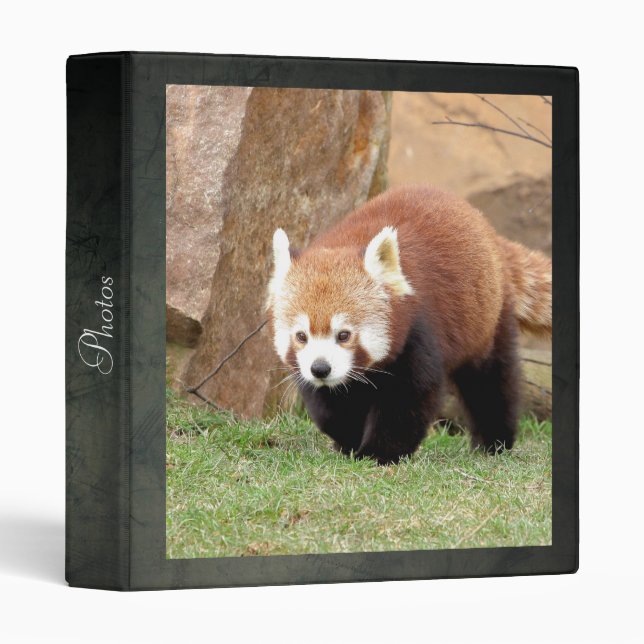binder Photo red panda , animals 0138. (Front/Spine)
