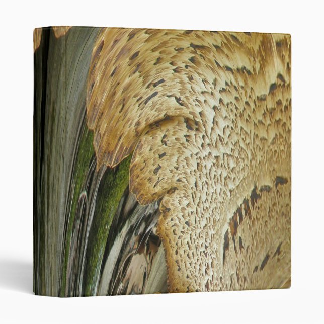 Binder Shelf Fungus Abstract (Front/Spine)