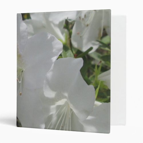 Binder _ White Azaleas