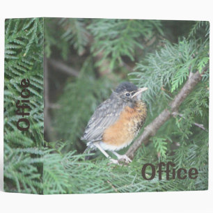 Binder With A Robin