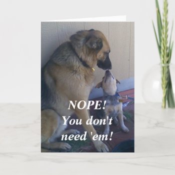 Binders Full Of Women Guy's Birthday Card by She_Wolf_Medicine at Zazzle
