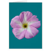 Bindweed #1 cards (Front)