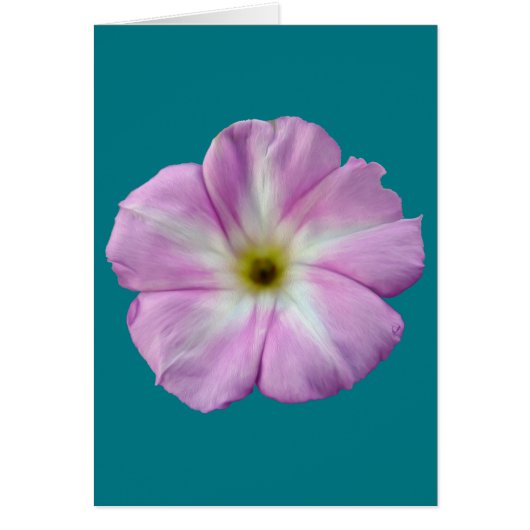 Bindweed #1 cards (Front)
