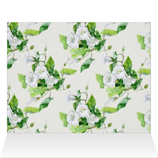 Bindweed white flower (Inside Horizontal (Top))