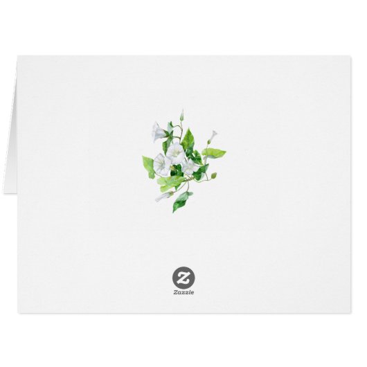 Bindweed white flower (Back Horizontal)