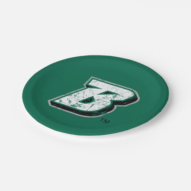 Binghamton B Distressed Paper Plates (Angled)