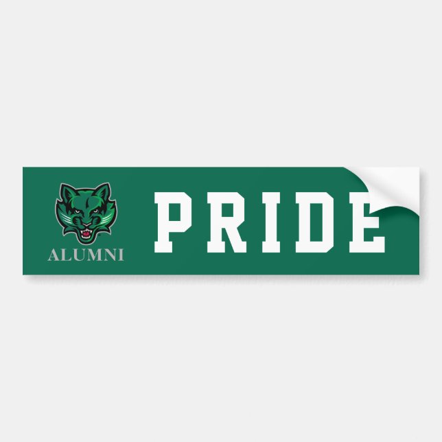 Binghamton Bearcats Alumni Bumper Sticker (Front)
