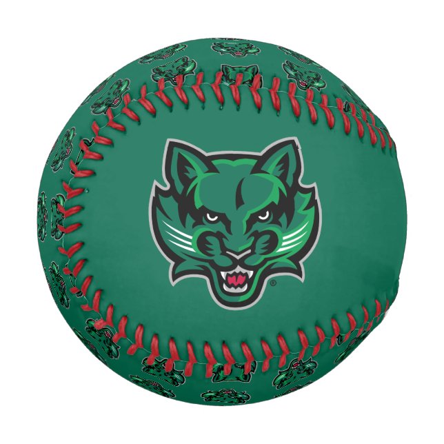 Binghamton Bearcats Logo Baseball (Front Left)
