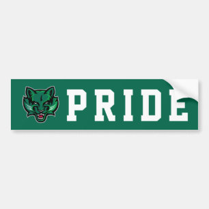 Binghamton Bearcats Logo Bumper Sticker