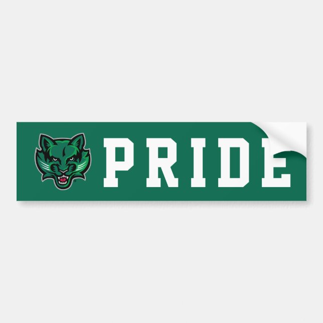 Binghamton Bearcats Logo Bumper Sticker (Front)