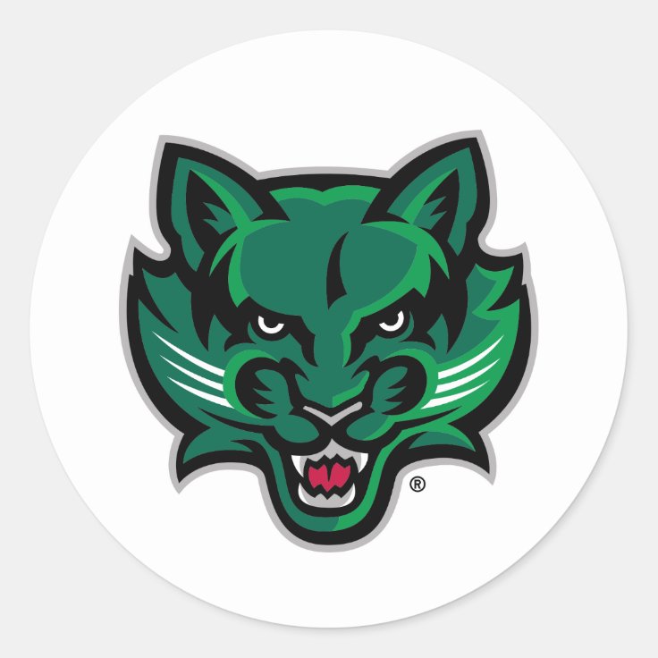 Binghamton Bearcats Logo Classic Round Sticker | Zazzle