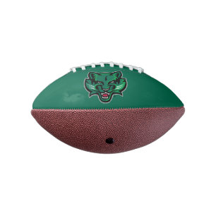 Binghamton Bearcats Logo Football