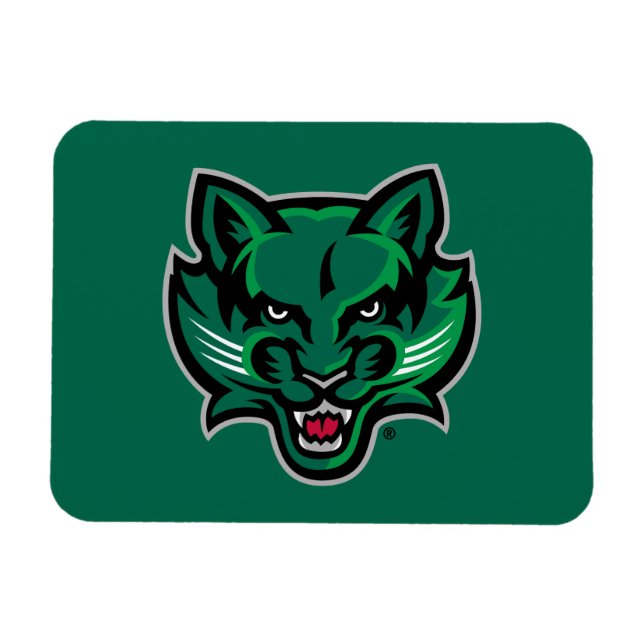 Binghamton Bearcats Logo Magnet (Horizontal)