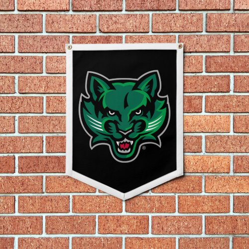 Binghamton Bearcats Logo Pennant