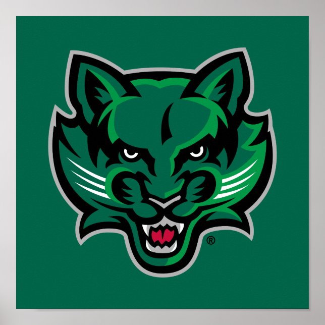 Binghamton Bearcats Logo Poster (Front)