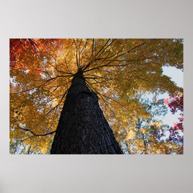 Binghamton October 2008 17 Poster (Front)