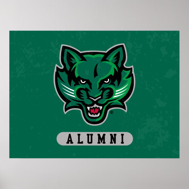 Binghamton University Alumni Distressed Poster (Front)