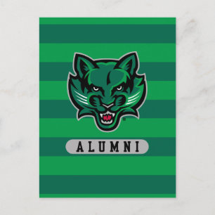 Binghamton University Alumni Stripes Invitation Postcard