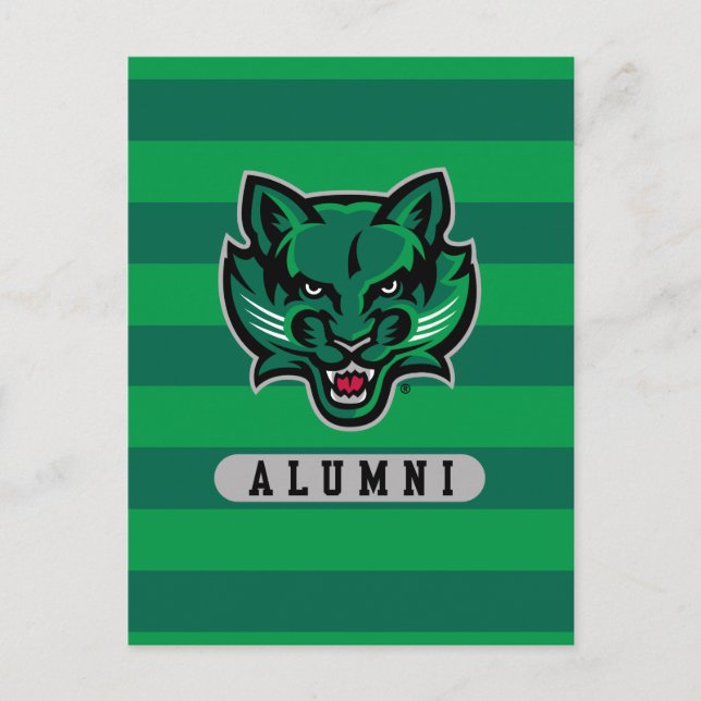 Binghamton University Alumni Stripes Invitation Postcard (Front)