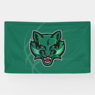 Binghamton University Basketball Banner