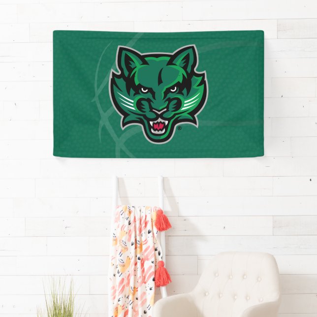 Binghamton University Basketball Banner (Insitu)