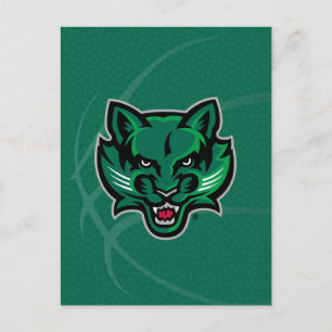 Binghamton University Basketball Invitation Postcard