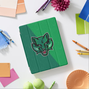 Binghamton University Color Block Distressed iPad Smart Cover