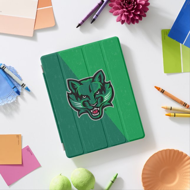 Binghamton University Color Block Distressed iPad Smart Cover (In Situ)