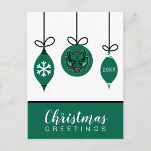 Binghamton University Holiday Postcard